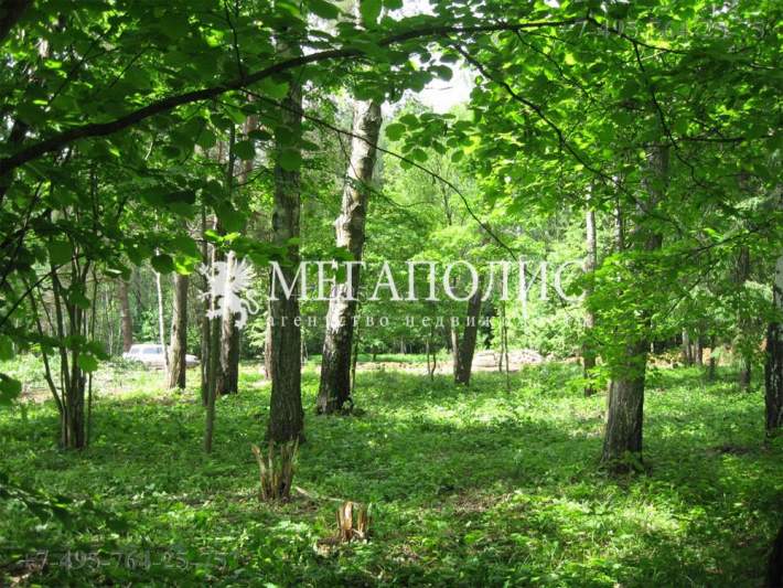 Коттеджный поселок Сосновый бор Московская область. КП Сосновый бор Подмосковье - 30364